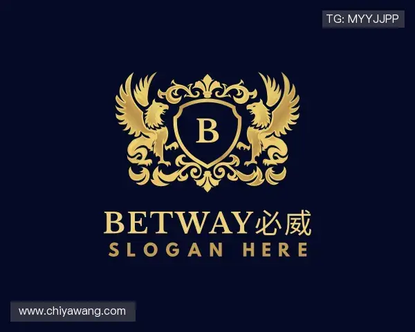 介绍必威西汉姆官网