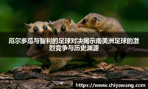 厄尔多瓜与智利的足球对决揭示南美洲足球的激烈竞争与历史渊源