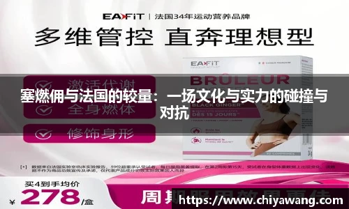 塞燃佣与法国的较量：一场文化与实力的碰撞与对抗